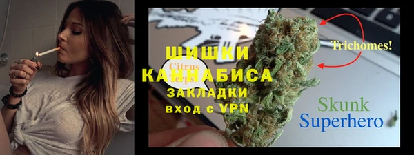 стаф Белокуриха