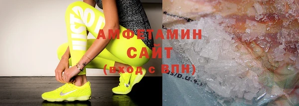 стаф Белокуриха