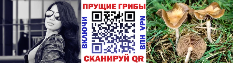 это телеграм  Выборг  Псилоцибиновые грибы мухоморы 